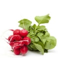thumbnail image 1 of Radish Bunch, 1 lb, 1 of 1