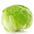 thumbnail image 1 of Laitue Iceberg vendue individuellement, 1 of 1