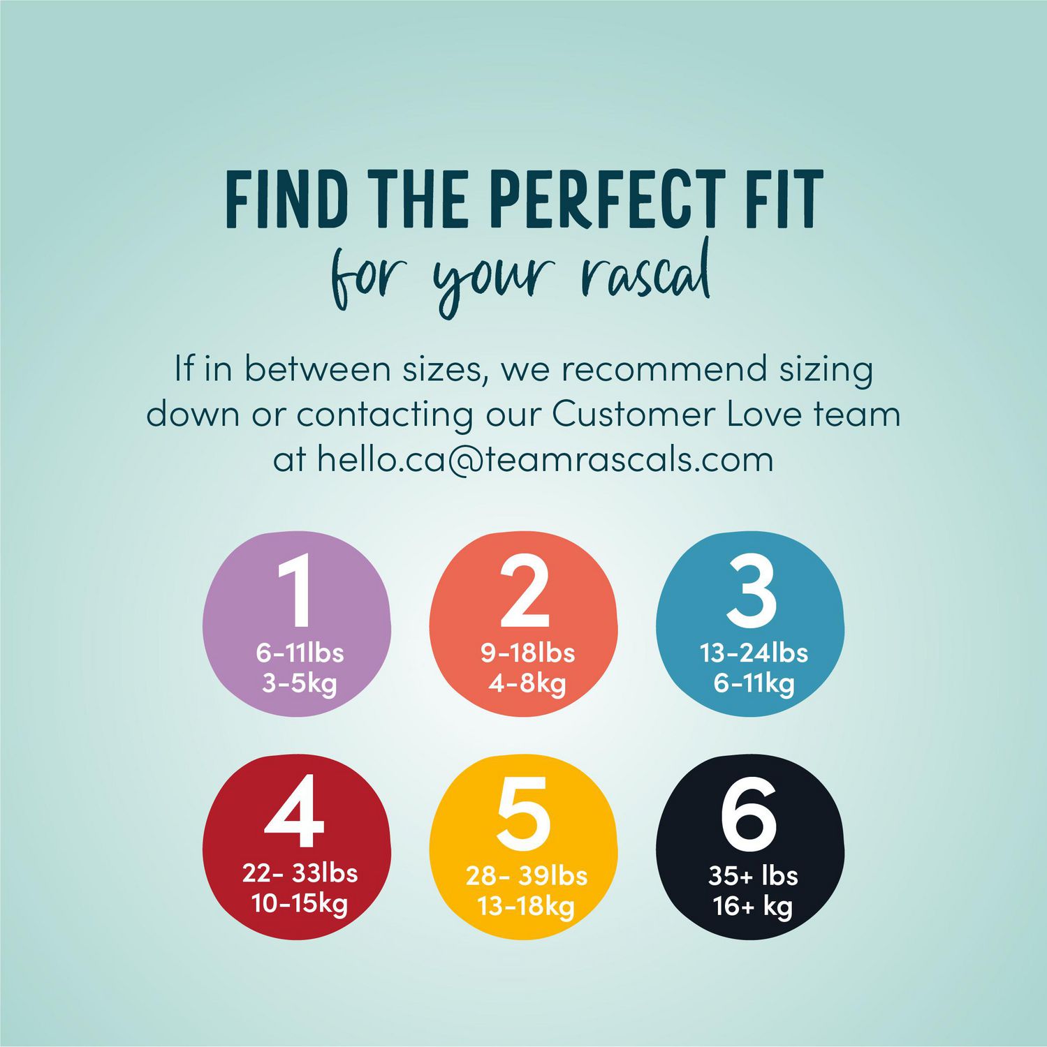 walmart rascal and friends size 4