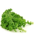thumbnail image 1 of Kale, Sold in bunches, 1 of 1
