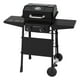 Expert Grill 2 Burner Propane Gas Grill, 19,000 BTUs - image 1 of 9