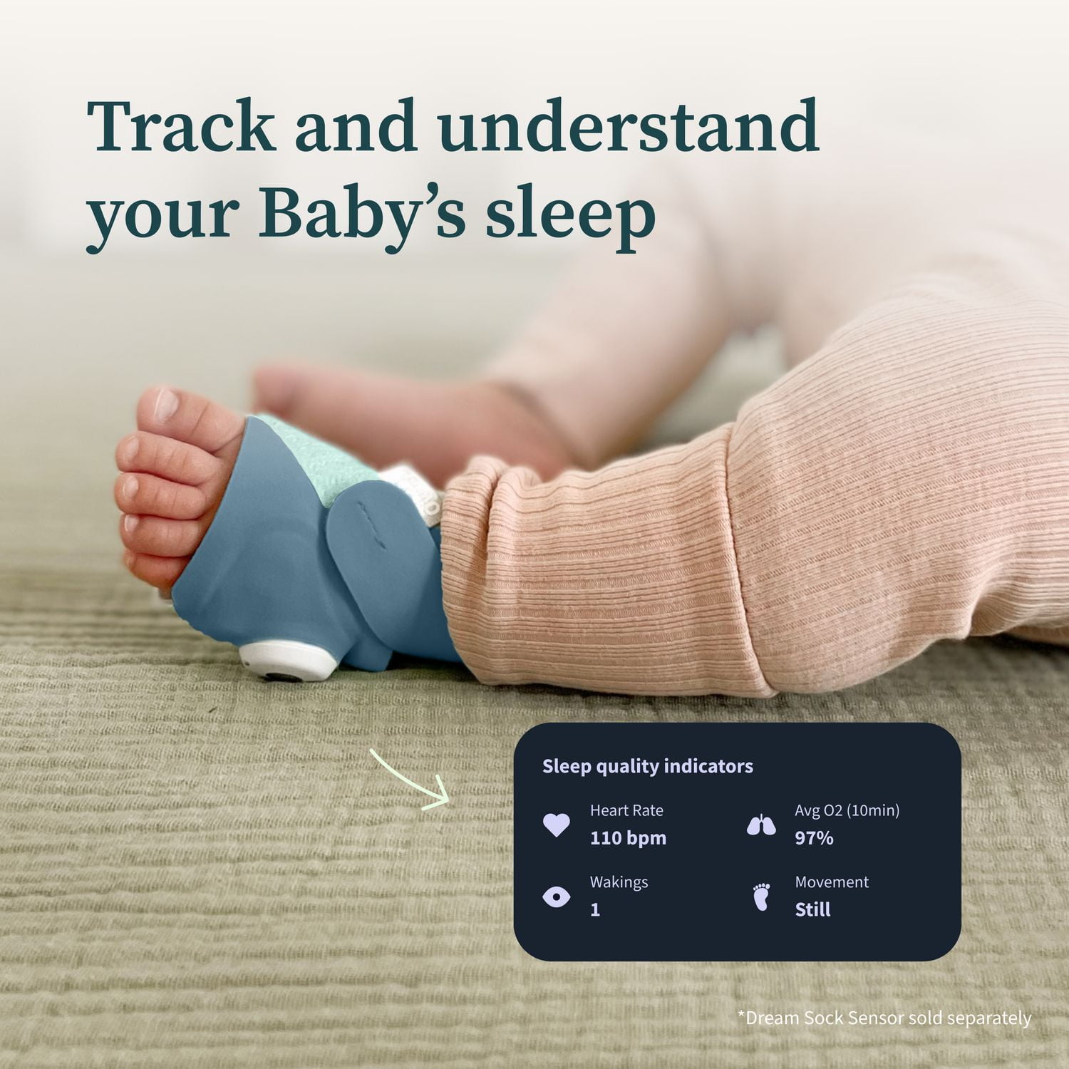 Owlet Accessory Sock
