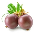 thumbnail image 1 of Fruit de la passion violet 1 pièce, 1 of 4