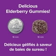 thumbnail image 4 of Webber Naturals Collagen30® Bioactive Collagen Peptides 2500 mg Elderberry <br>Gummies, 4 of 10