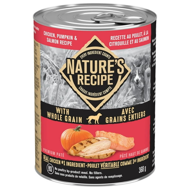 Nature's Recipe Whole Grain Premium Paté Wet Dog Food, Chicken, Pumpkin ...