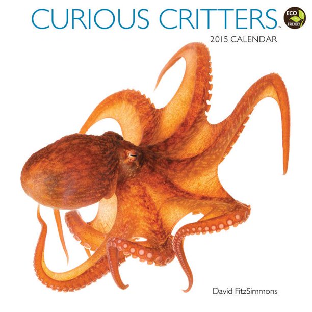2015 Curious Critters Wall Calendar