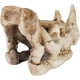 Penn Plax Ornement d'aquarium en résine tête de mort de rhinocéros – image 4 sur 5