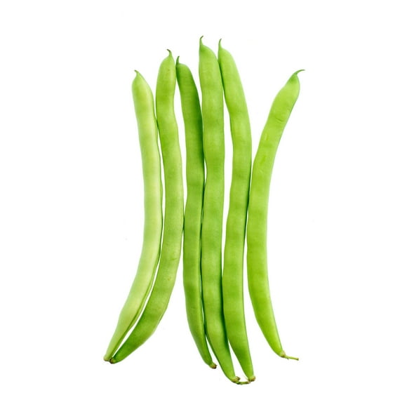 Haricot Long Haricots