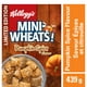 Céréales Mini-Wheats de Kellogg's à saveur d'épices et citrouille – image 1 sur 4