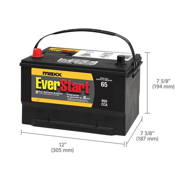 EverStart AUTO MAXX-65N – 12 Volts, Batterie automobile, groupe 65