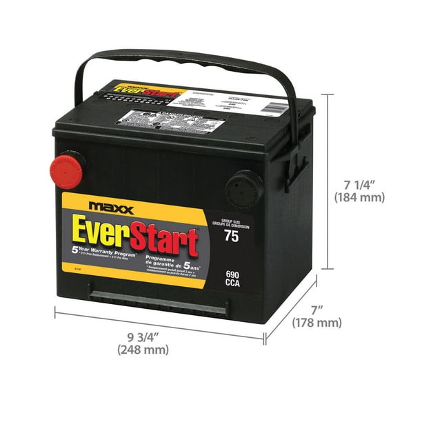 EverStart AUTO MAXX-75N – 12 Volts, Batterie automobile, groupe 75, 690 ADF  EverStart – Batterie automobile 