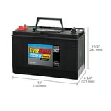 EverStart MARINE MAXX-DC31DT, 12 Volt, Marine/RV Battery, Group Size 31 ...