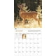 2015 Mini Calendrier des Cerfs à queue blanche du photographe Bela Baliko – image 3 sur 3