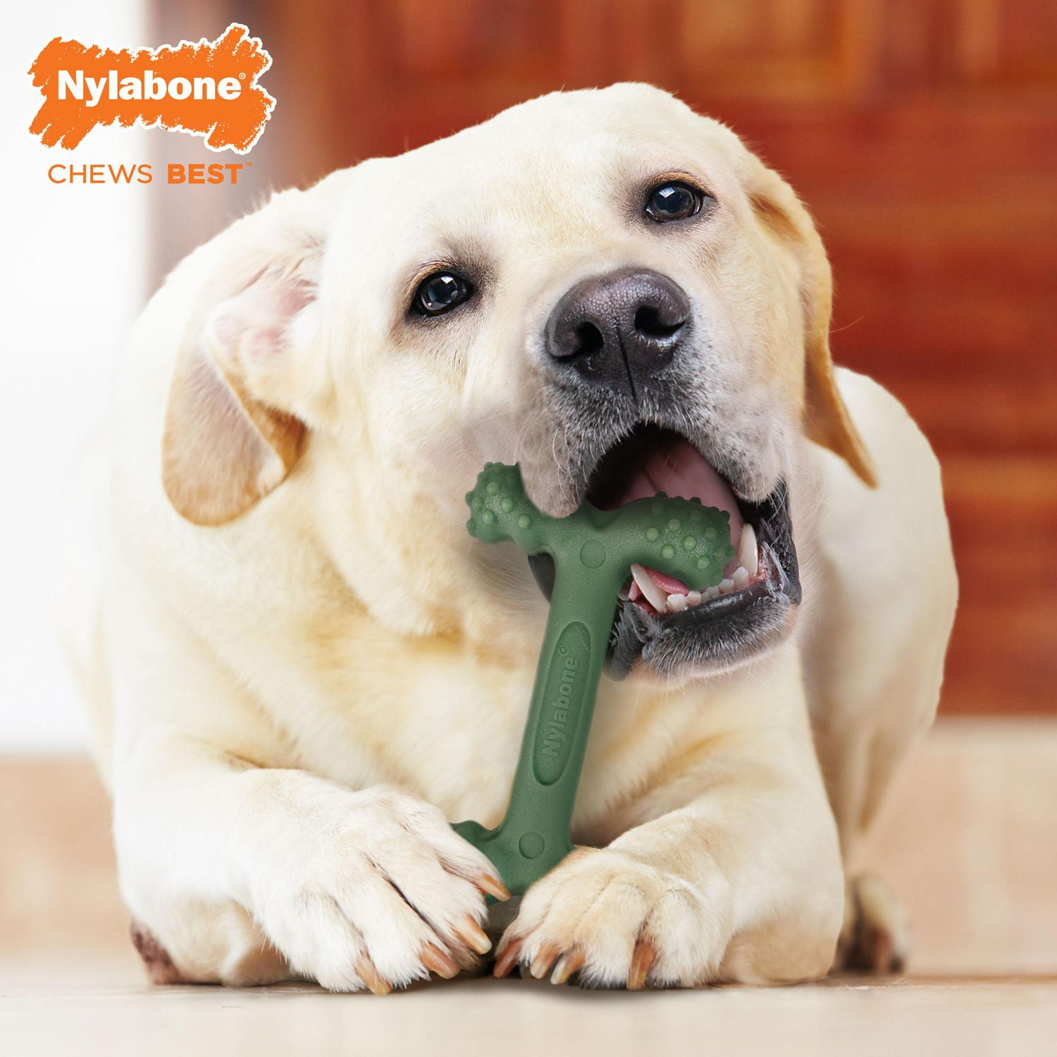 Nylabone Power Chew Comfort Hold Dog Dental Chew Toy Chicken Jerky Flavor Large Giant Up to 50 lbs. COMFORT HOLD PAW GRIPS