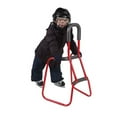thumbnail image 1 of Steel Skate Trainer, 1 of 1