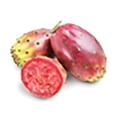 thumbnail image 2 of Cactus Pears, 2 lb, 2 of 2