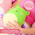 thumbnail image 4 of Squishmallows Wendy Heating Pad, 4 of 8