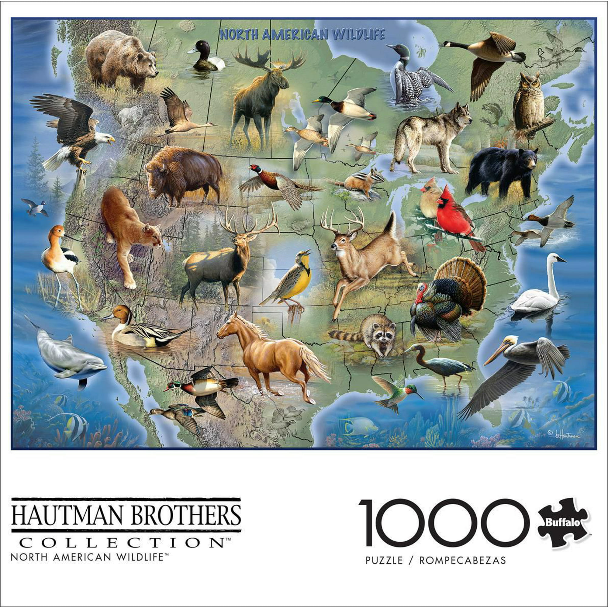 Buffalo Games - Hautman Brothers - Birds in an Orchard - 1000 Piece Jigsaw  Puzzle, Jigsaw Puzzles -  Canada