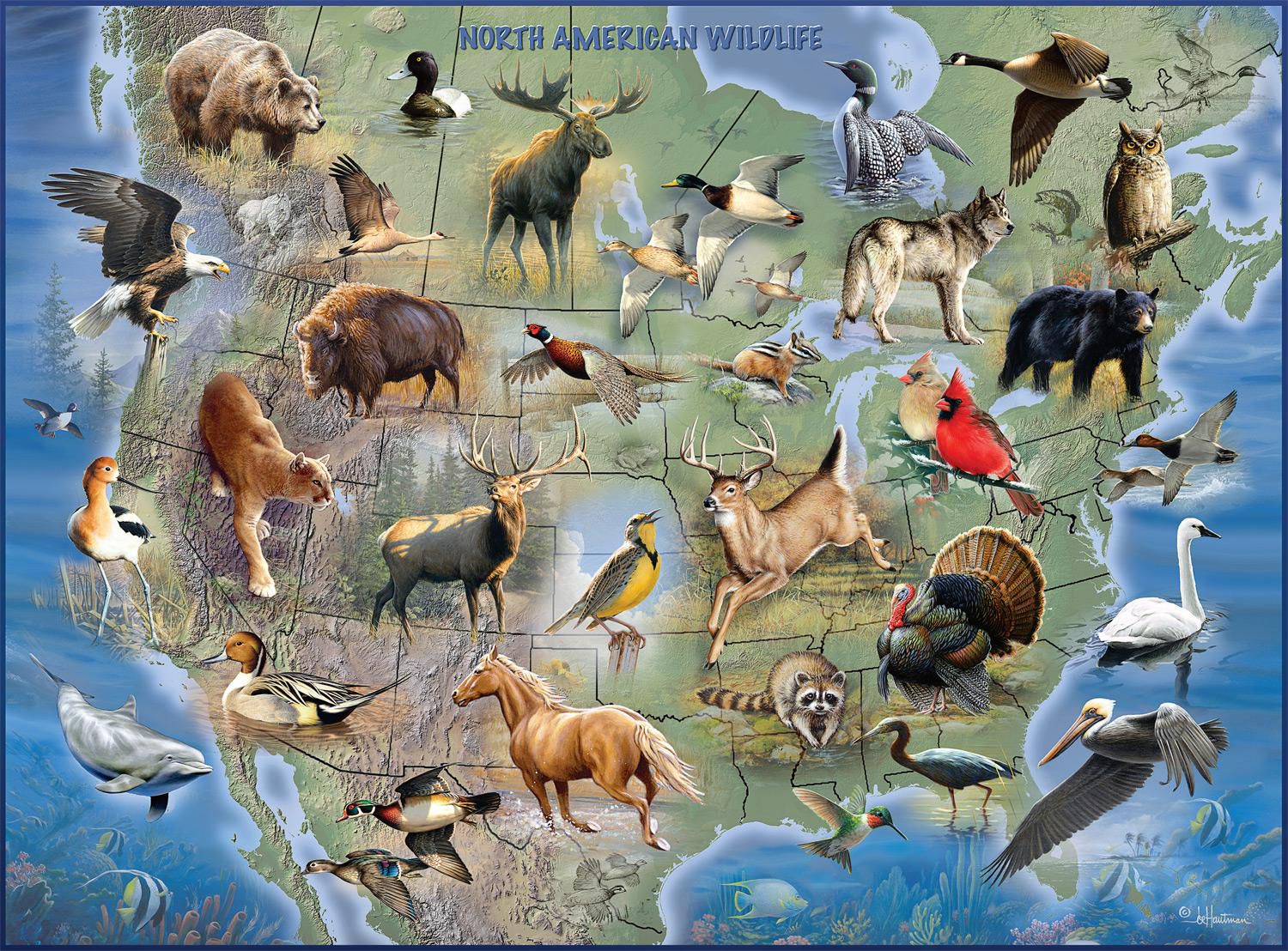 Buffalo Games - Hautman Brothers - Birds in an Orchard - 1000 Piece Jigsaw  Puzzle, Jigsaw Puzzles -  Canada