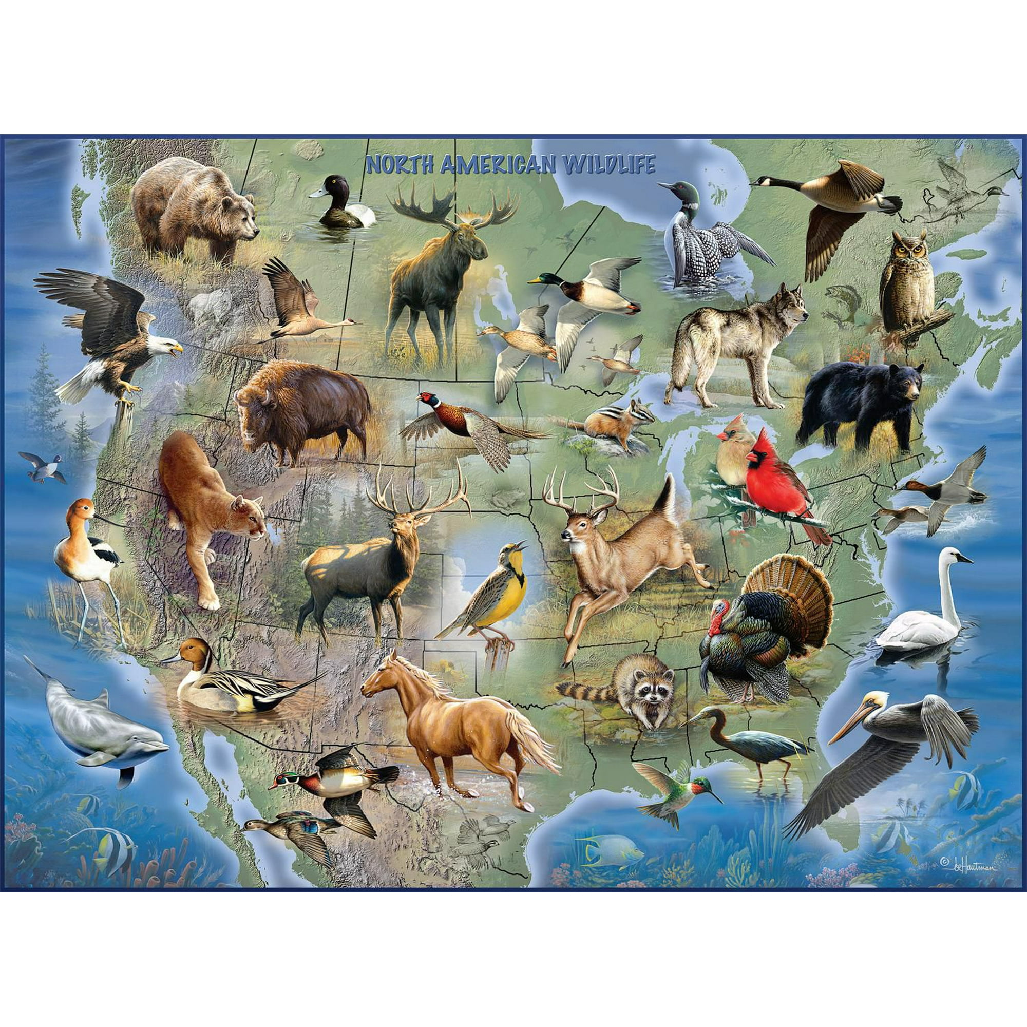 What Are People Who Do Jigsaw Puzzles Called? - Buffalo Games