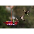 thumbnail image 2 of Mangeoire à colibris 3-en-1 de More Birds, 2 of 3