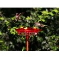 thumbnail image 3 of Mangeoire à colibris 3-en-1 de More Birds, 3 of 3