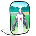 thumbnail image 1 of Sticky Wicky Cricket Keeper, 1 of 1