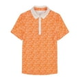 thumbnail image 4 of IZOD ALLY PRINTED SHORT-SLEEVE POLO​, 4 of 4