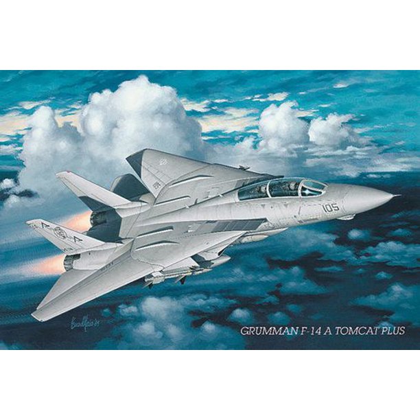 Grumman F-14 A Tomcat Plus