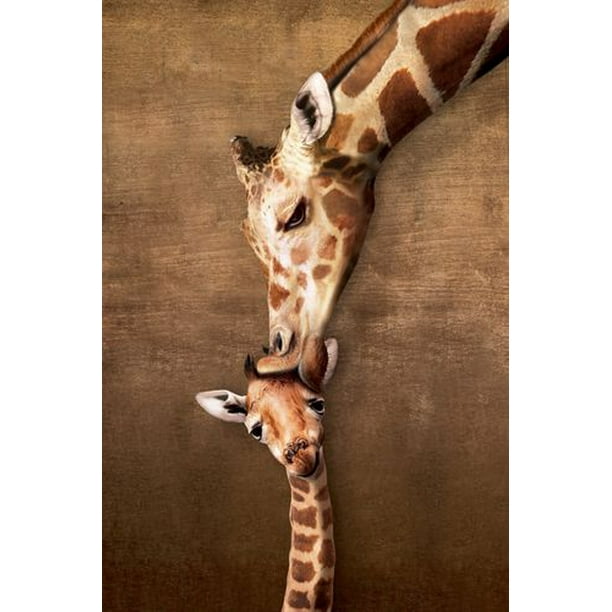 Le Baiser de Maman Giraffe