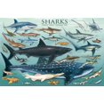 thumbnail image 1 of Eurographics Sharks, 1 of 1