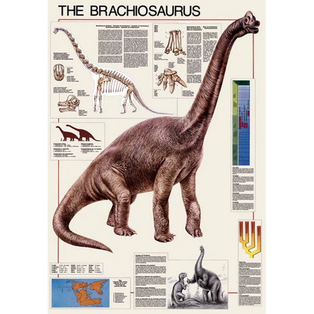 Le Brachiosaure