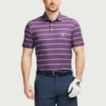 thumbnail image 2 of POLO IZOD A MOTIF, 2 of 4