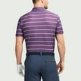 thumbnail image 3 of POLO IZOD A MOTIF, 3 of 4