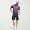 thumbnail image 1 of POLO IZOD A MOTIF, 1 of 4