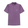 thumbnail image 4 of POLO IZOD A MOTIF, 4 of 4