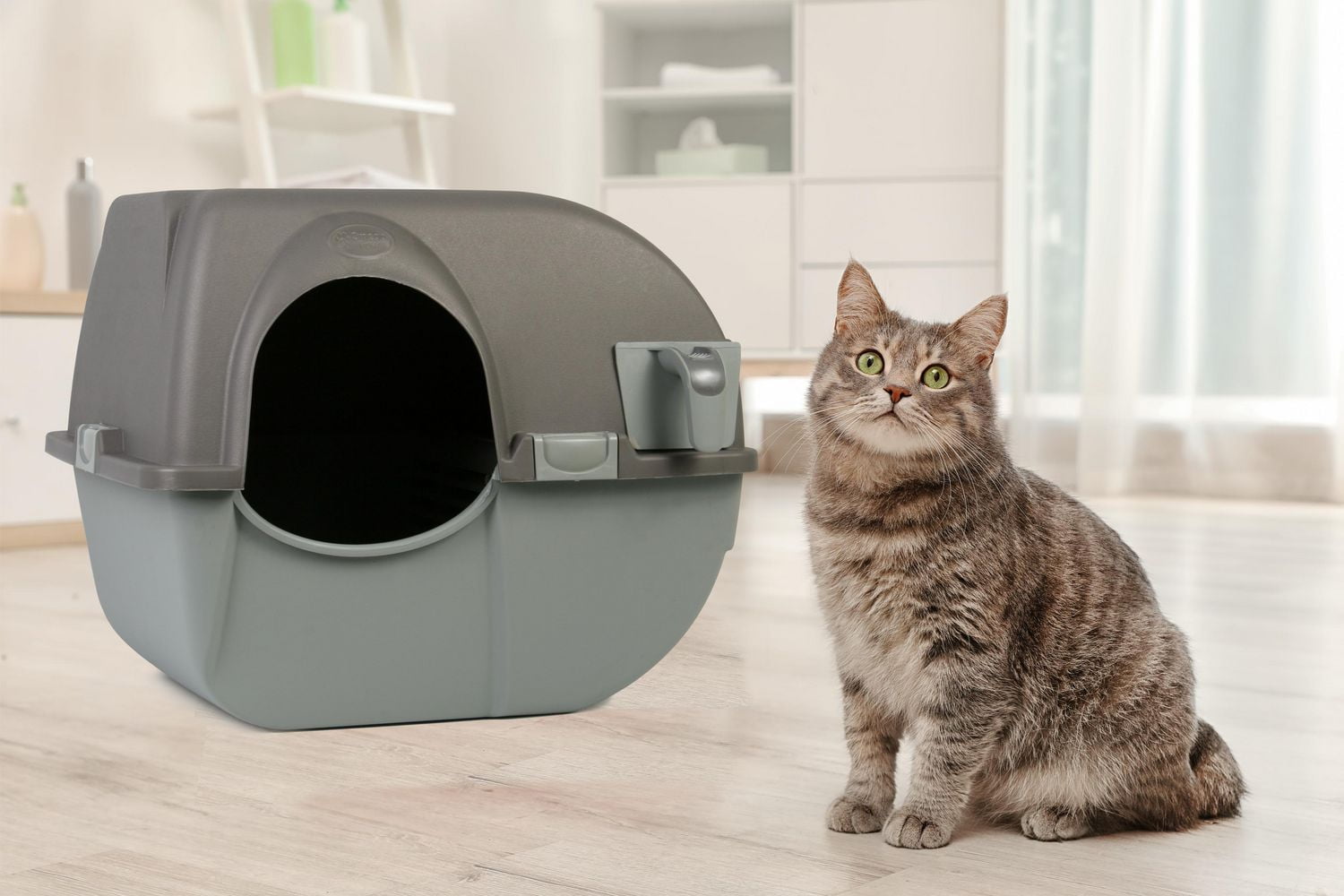 Litter box clearance walmart canada