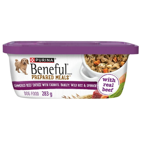Beneful Repas Préparés Arôme de Boeuf Mijoté, Nourriture Humide pour Chiens 283 g CHL Cards