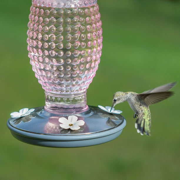 Mangeoire à colibris en verre pincé à la taille, 16 onces, de Perky-Pet 