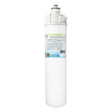 Everpure EV961321 MH 2 Water Filter Cartridge - Reduces Chlorine, Scale, Contaminants, NSF Certified