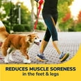 thumbnail image 3 of Dr. Scholl's® Walk Longer Insoles, Women's Size 6-10, 3 of 5