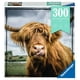 Ravensburger - Puzzle Moment Highland Cattle de 300pc – image 1 sur 3