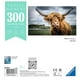 Ravensburger - Puzzle Moment Highland Cattle de 300pc – image 3 sur 3