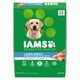 Nourriture sèche pour chiens adultes de grande race IAMS Proactive Health Recette avec poulet et grains entiers 6,8-18,14 kg – image 1 sur 7