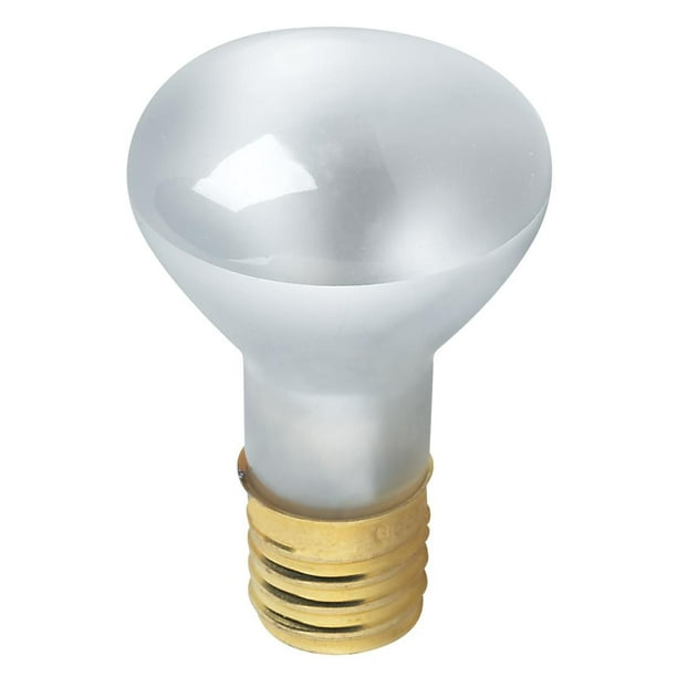 Ampoule incandescente en verre transparent de spécialité T6 sous forme de mini tube de 15W de Globe Electric, base candélabre E12, 00067