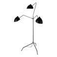 thumbnail image 1 of ABEJA FLOOR LAMP, 1 of 1