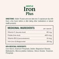 thumbnail image 2 of NATURE'S BOUNTY Gentle Iron, 28 mg, Helps Prevent Anemia, Supports Immune Health, Helps Red Blood Cell Formation & Function, Helps Wounds Heal, Antioxidant, Capsules 150.0 count, 2 of 6