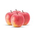 thumbnail image 1 of Pomme, Fuji, 1 of 1