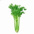thumbnail image 1 of Celery, Chinese, Sold in singles, 1 of 1