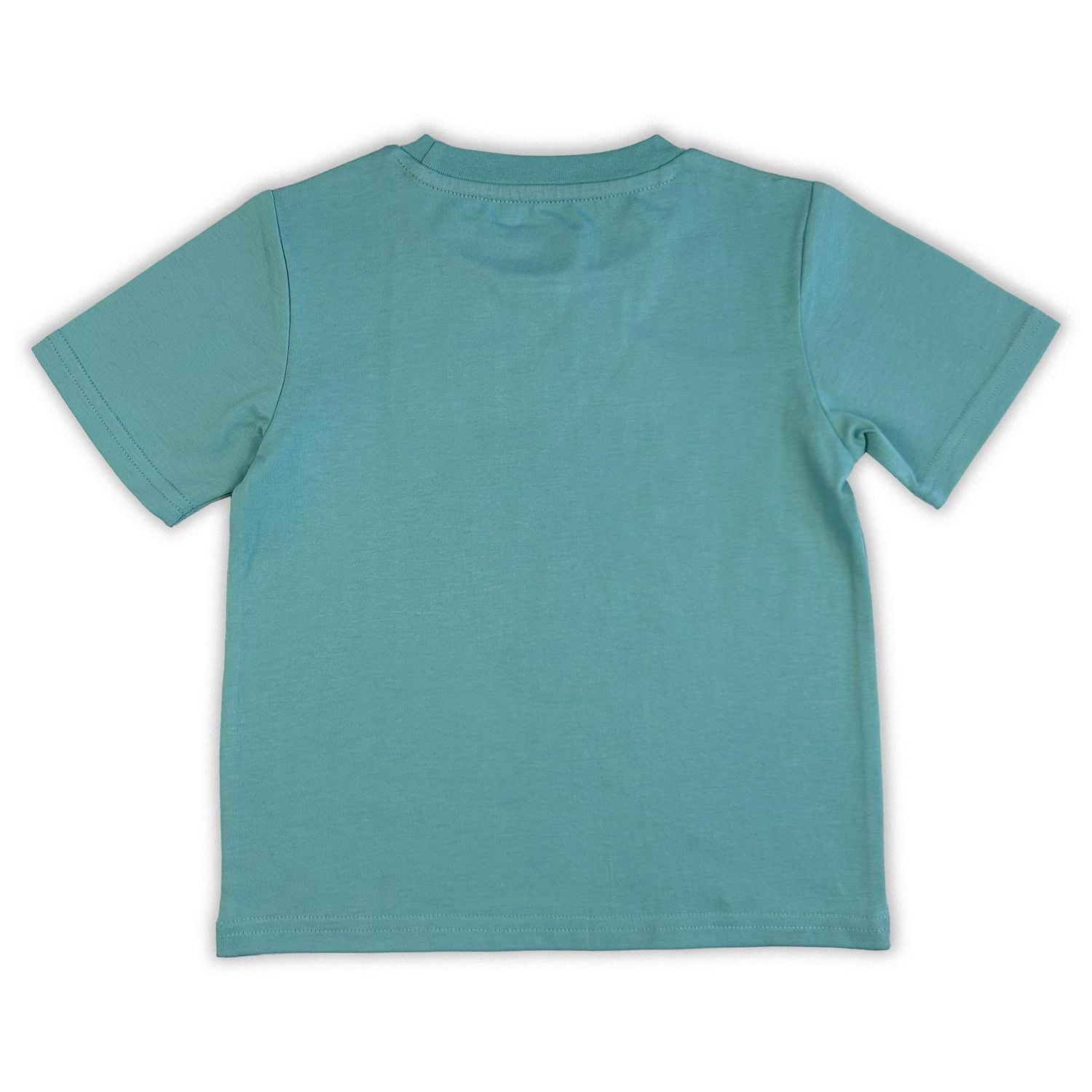 Paw Patrol Toddler boy`s basic printed tee shirt.